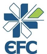 Logo de École Française de Comptabilité
